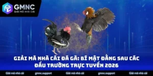 Giải Mã Nhà Cái Đá Gà